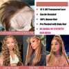 Highlight Ombre Straight Lace Front Wigs Human Hair Colored 180%