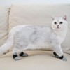 Namvo 4 Pcs Cat Boots, cat claw covers, Black Anti