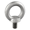 Eye Bolt Similar to DIN 580, Cast and Polished Stainless