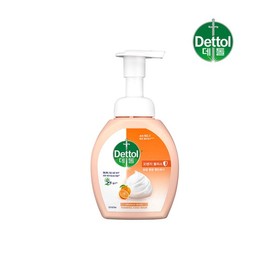 Dettol Orange Foaming Antibacterial Hand Wash 250g x 1 / 오렌지 포밍 항균 핸드워시 250g x1개