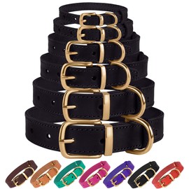 BronzeDog Leather Dog Collar Buckle Durable Pet Collars for Small Medium Large Dogs Puppy Cat Kitten Red Pink Purple Green Brown Black (Neck Size 9" - 11", Black)