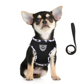FEimaX Dog Harness and Leash Set, No-Pull Breathable Soft Mesh Puppy Vest Harness Reflective Adjustable Pet Harnesses for Small Medium Large Dogs and Cats - Outdoor Easy Control for Walking