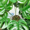 WX 75cm Monstera18hojas Planta Artificial Decoracion Con Maceta