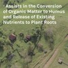 Planters ll | Trace Minerals to Support Healthy Plant Growth