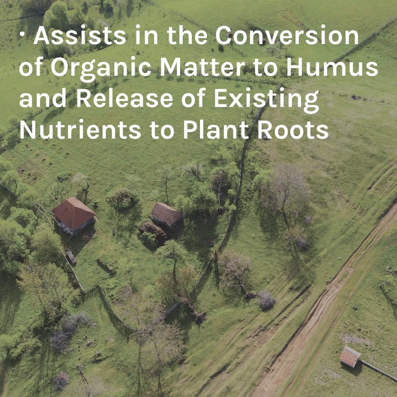 Planters ll | Trace Minerals to Support Healthy Plant Growth