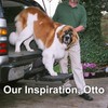 Otto Step Pet Ramp Step Helps Dogs Get in &