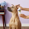 Miracle Care Ear Cleaner for Dogs and Cats, 8 Ounce,