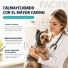 2PCS Orejeras contra ruido para perro, Orejeras ajustables para perro
