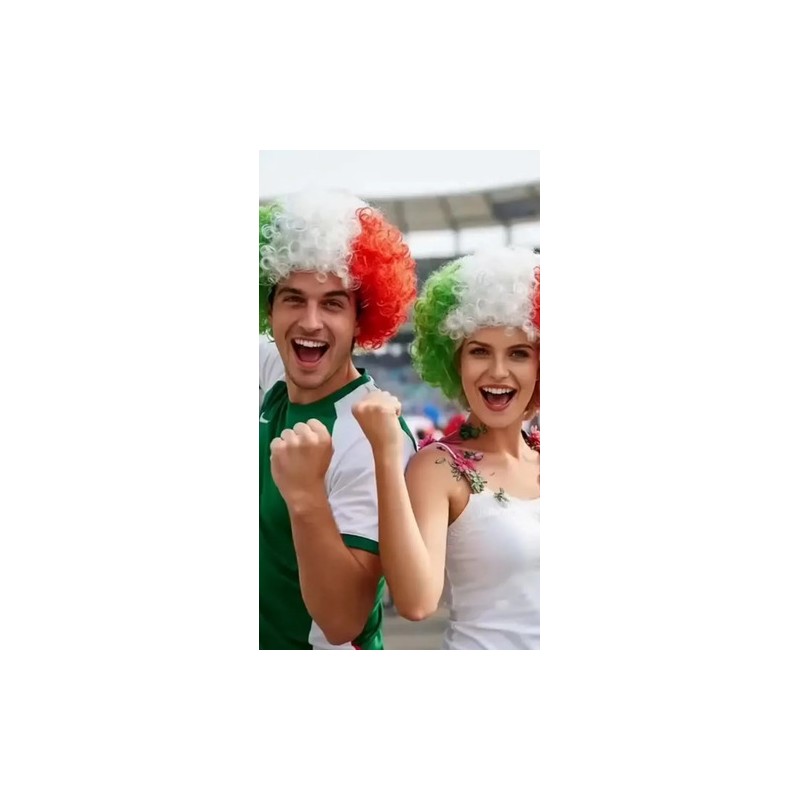 Pack 2 Pelucas Afro Tricolor | Ideal Para Carnaval Y