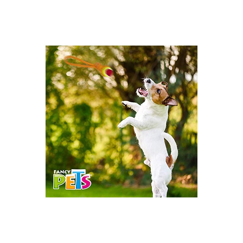 Fancy Pets Juguete Jaladera con Pelota para Perro Mediano de