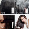 Clairol Colour Strong Permanent Hair Dye - 4.63 Sunset Mauve