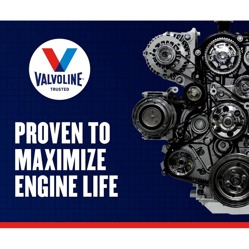 Valvoline Daily Protection SAE 30 Conventional Motor Oil 1 QT,