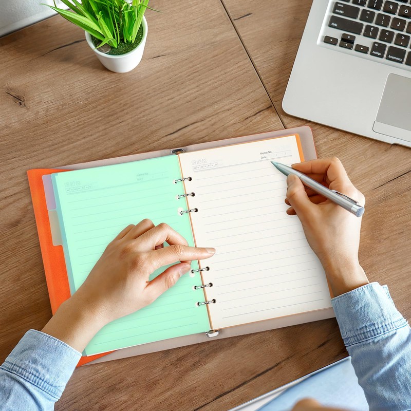 DIYEAH 10 PCS Tab Sorter 6 Holes Plastic Label Index