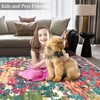 RUGSREAL Large 8x10 Machine Washable Area Rug - Non Slip