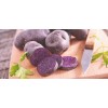 Simply Seed Blue Potato Seed 3 LB Ready To Grow