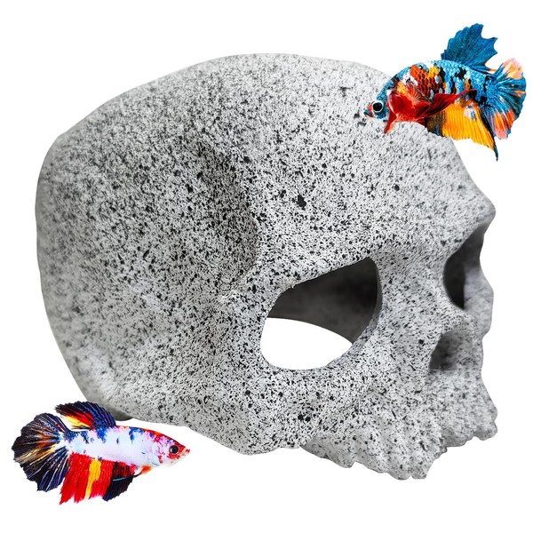 Tfwadmx Aquarium Skull Reptile House Decor Ceramic Head Skeleton Decorations