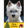 Westie/West Highland Terrier Dog Christmas Card 'Merry Christmas' - Special