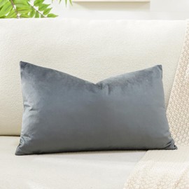 Artscope Luxury Velvet Cushion Covers Decorative Rectangle Pillowcases Soft Solid Cushion Cases for Couch Sofa Bedroom Car Decor 40x60cm Graphite Gray
