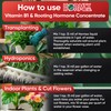 Hormex Rooting Hormone Concentrate with B1 – Root Growth Stimulator