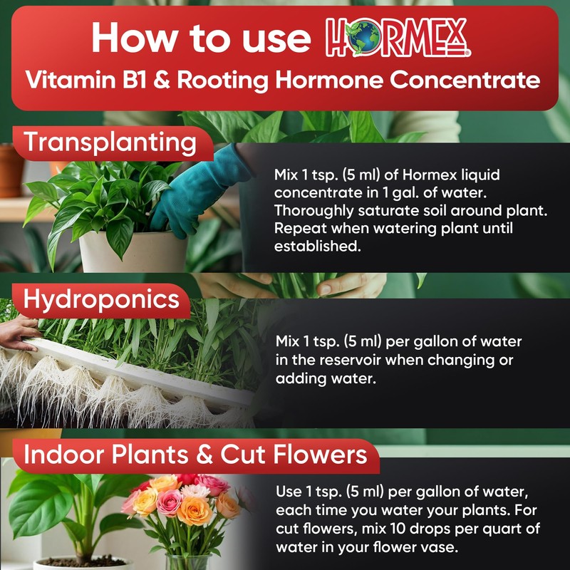 Hormex Rooting Hormone Concentrate with B1 – Root Growth Stimulator