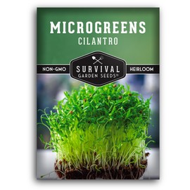 1 Pack Cilantro Microgreens Seeds for Sprouting and Growing - Sprout Green Leafy Micro Herb Plants Indoors - Grow A Mini Windowsill Garden with Micro Herb Seeds - Non-GMO Heirloom Micro Seeds
