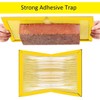 Loocaa 10 Pack Sticky Traps Boards - Multi-Use Pests Sticky