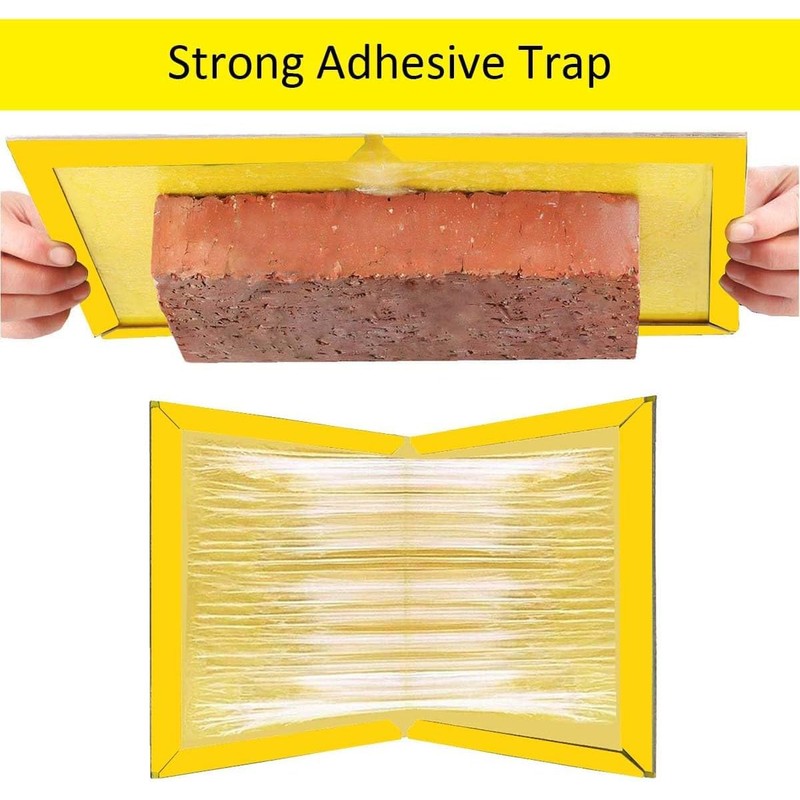 Loocaa 10 Pack Sticky Traps Boards - Multi-Use Pests Sticky