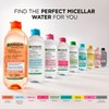 Garnier SkinActive Micellar Agua de arrastre todo en uno 23.7