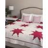 Red & White Quilts: 14 Quilts With Everlasting Appeal (2)