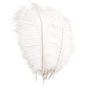 DFsucces Feather Ostrich Decorative Pure White Feathers Jewelry Crafts Hair Accessories Wedding Birthday Party Decoration Stage Stage Costume Material Feather Ornaments 9.8 - 11.8 inches (25 - 30 cm) 10 Pieces