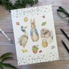 Writing Set with Envelopes – Beatrix Potter Design