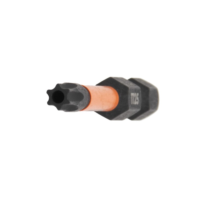 Railer T25 Tamper Proof Bits - 4 Pack, 2 Inch,