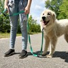 Joytale Dog Leash Heavy Duty for Large Dogs That Pull,