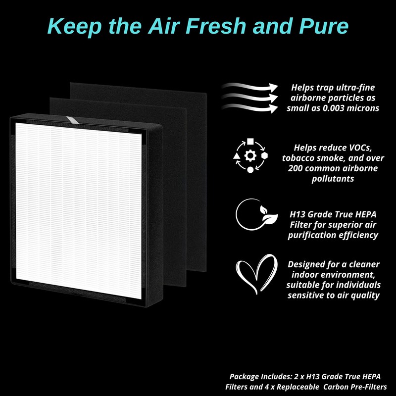 2 pack - BF35 True Hepa Filter Replacement - for