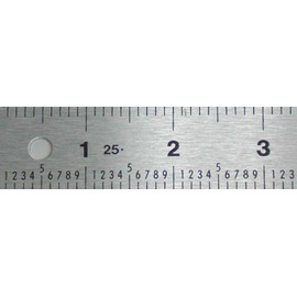 Tenths Ruler, 12 Inch