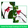 90 Pcs Plant Training Clips, Plastic Low Stress Training Clips,