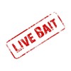 CafePress Live Bait Rectangle Bumper Sticker Car Decal