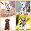 Slowton Small Dog Harness and Leash Set, No Pull Lightweight