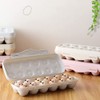 12 Grid Plastic Egg Containers, Egg Box, Plastic Egg Tray,