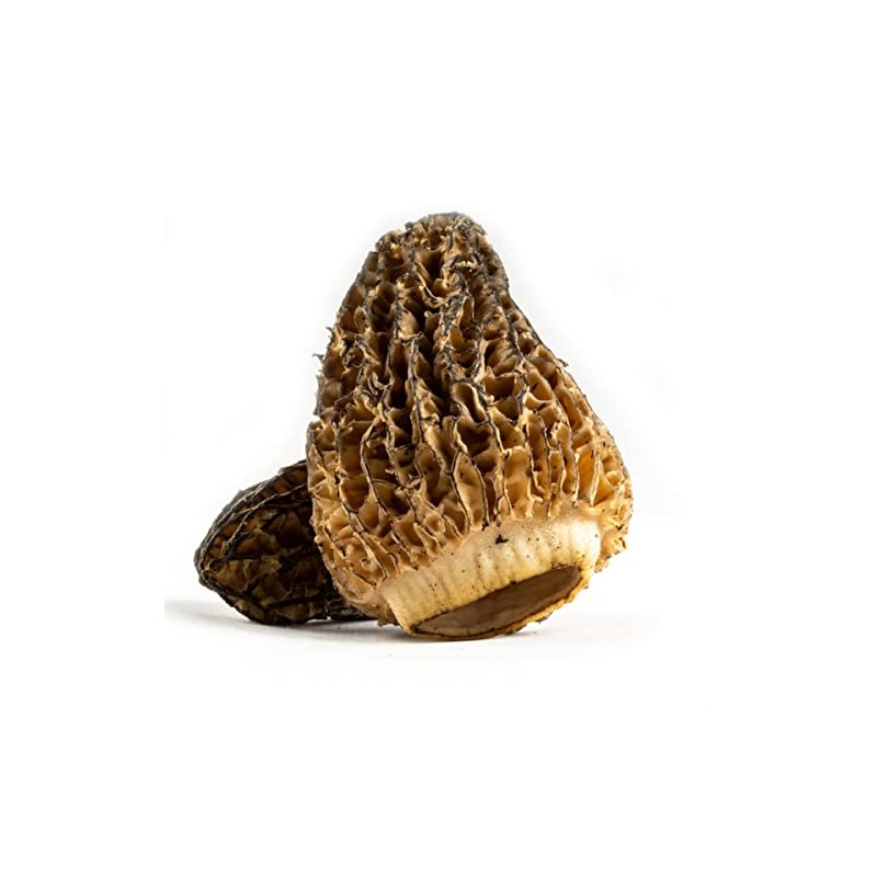 Melissa's Dried Morel Mushrooms, 3 Packages (0.5 oz)