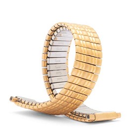 Speidel Ladies Twist-O-Flex Expansion Replacement Watch Band Gold Tone Straight End 10-14mm (Straight End, Gold)