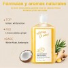 Natural Shampoo De Jengibre El Crecimiento Del Cabello 240ml