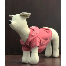 Coin 1804 Doggy Tee, Medium, Peacock