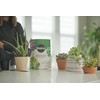 Miracle-Gro Succulent Potting Mix, for Indoor Succulents, Aloe Vera and