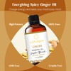 LOTUSJOY Ginger Essential Oil for Hair Growth Lymphatic Drainage Massage