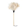 Redecker Ostrich Feather Duster with Varnished Wooden Handle, 31-1/2-Inches, Light
