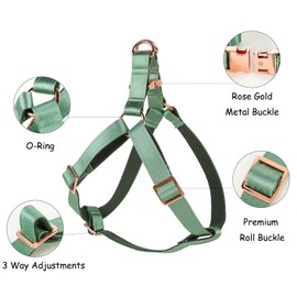 Lionet Paws Dog Harness, No-Pull Adjustable Silk Nylon Webbing Pet Harness with Metal Buckle for Small Dogs Easy Walking, Grass Green, XS