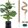 Monaeco Plants Moss Pole Support, 2PCS 64cm Bendable Vines Stakes,
