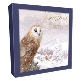 Box of 8 Donkey & Owl Xmas Greetings Christmas Cards In 2 Designs Boxed Cards XCPS019