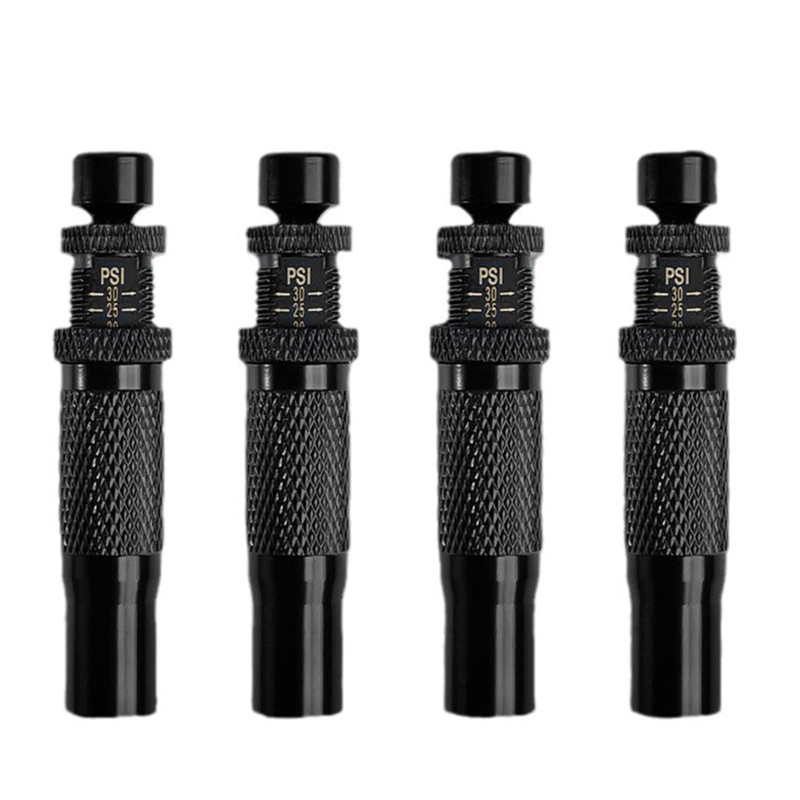 FSDSHGKDG Automatic Tire Deflators, Includes Valves Caps and Carry Bag